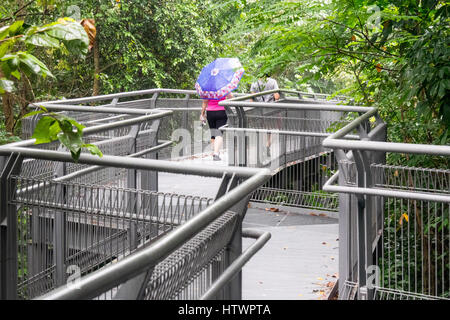 Tourists and local Singaporeans walking the Forest Walkway, an elevated walkway in Kent Ridge Park as part of the Southern Ridges Walk, Singapore. Stock Photo