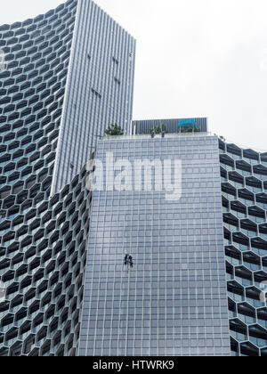 Two men in harnesses washing windows on the outside of an office tower. Stock Photo