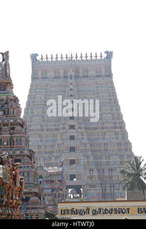 Intricate sculptures at the Sri Ranganathaswamy temple, Srirangam. Stock Photo