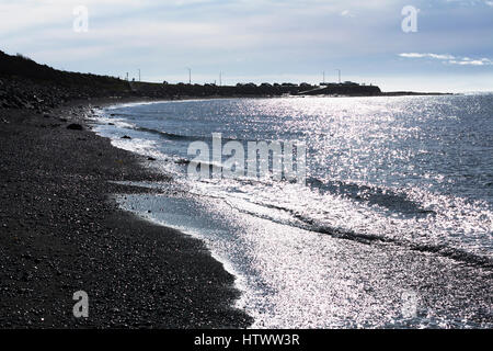 Coastline at Dallas Road. Victoria, BC. Canada Stock Photo