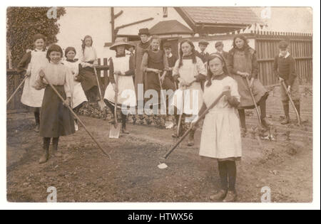 Original postcard of British school children, girls and boys, digging a vegetable plot helping the WW1 war effort, gardening lesson or project. Classes during WW1 were often taken off school to work on the fields. Vegetables and fruit were grown in private gardens and allotments. U.K. -  circa 1915 Stock Photo