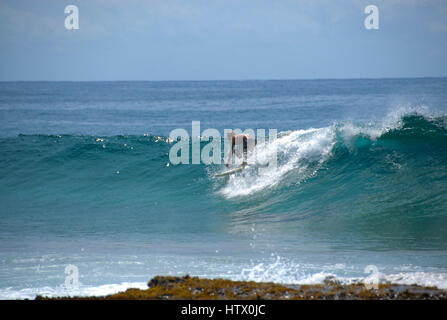 Surfer riding waves, Ponta Do Ouro, Mozambique Stock Photo