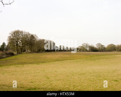 A lovely expanse of green land with a blue horizon and a few trees between. Stock Photo