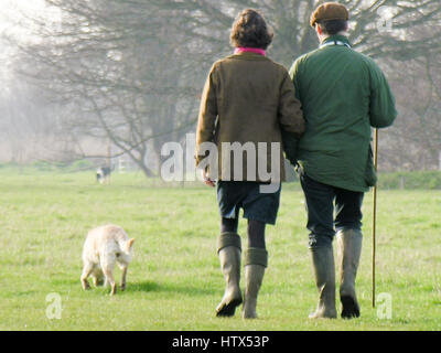 A couple down in Dedham out for a country stroll with their dogs. Stock Photo