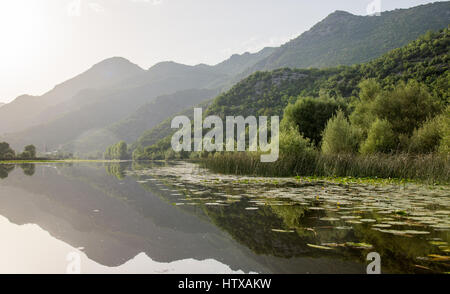 Lake Shkod also called Scutari, Skadar and Shkodra lies on the border of Albania and Montenegro, the largest lake in the Southern Europe Stock Photo