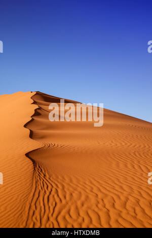 Beautiful sand dunes in the Sahara desert Stock Photo - Alamy