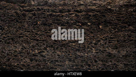 Beautiful black marble with golden veins Stock Photo
