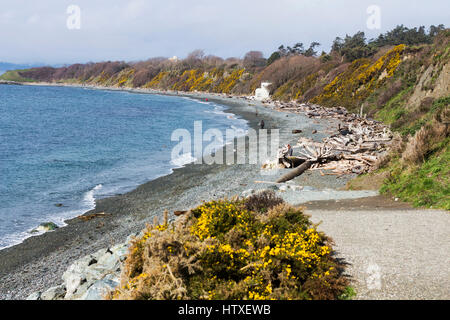 Dallas Road coastline.  Victoria, BC. Canada Stock Photo