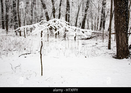 Snowy day in the park. Stock Photo