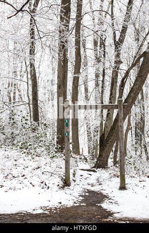 Snowy day in the park. Stock Photo