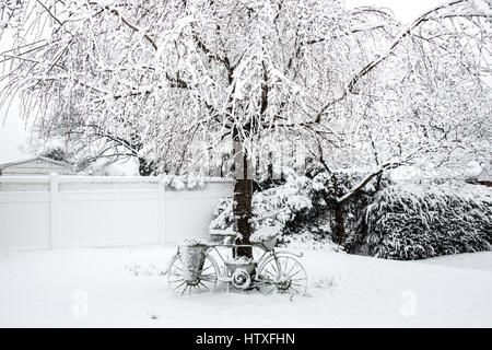 Snowy day in the park. Stock Photo