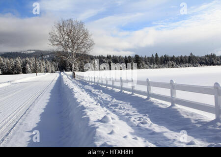 White fence line in snow Stock Photo