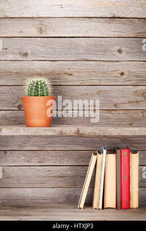 Old books on a wooden shelf and cactus plant. With empty space Stock Photo