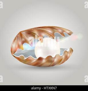 bright pearl in a opened sea shell Stock Vector