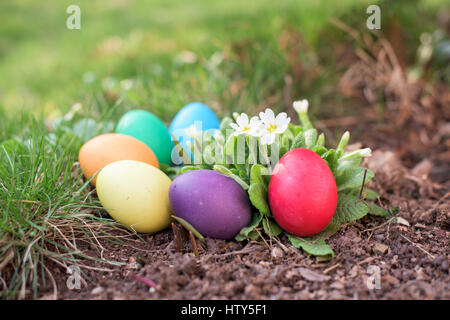 Five easter eggs in a garden with flowers Stock Photo