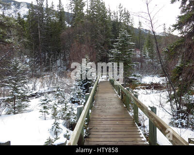 Woodland walk at Cave and Basin Banff Stock Photo