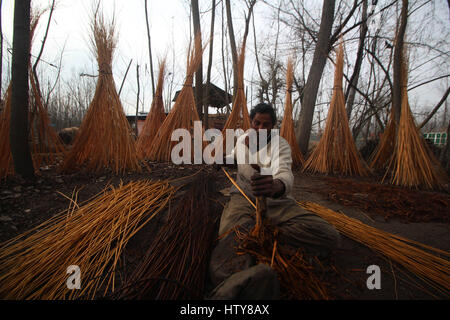Srinagar, India. 15th Mar, 2017. A man chiseling wicker in Srinagar. Willow Wicker Craft (locally referred to as Keani Keam) has not invited much attention as that of other crafts, but it is an equally special handicraft and an indigenous business industry of the valley. on Wednesday, March 15, 2017 in the outskirts of Srinagar in Indian Controlled Kashmir. Credit: Umer Asif/Pacific Press/Alamy Live News Stock Photo