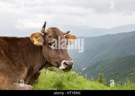 Walking tour through the romanian countryside, mountains, villages, waters. Holidays in carpathian nature. Stock Photo