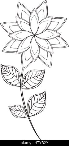 star anice flower decoration line Stock Vector