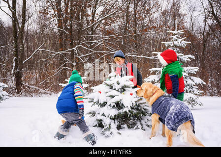 Three children decorating a Christmas tree in the garden with their golden retriever dog Stock Photo