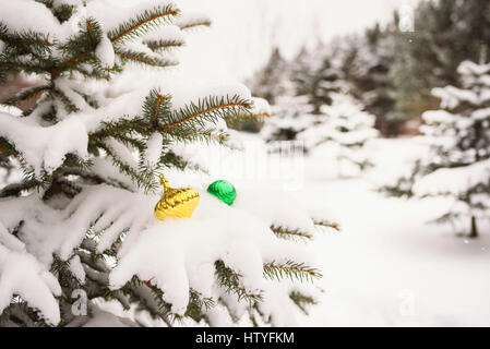 Christmas tree decorations on snow covered fir tree in garden Stock Photo