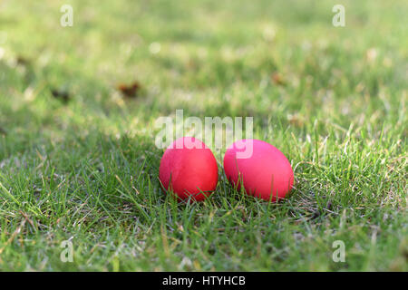 Two red easter eggs in a grass Stock Photo