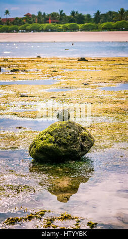 Zen-like Stones Covered with Moos on Beach during Low Tide, Nice