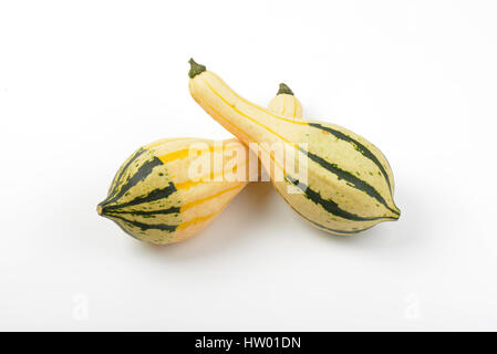 two small striped pumpkins on white background Stock Photo