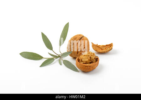 walnuts and sprig of fresh sage on white background Stock Photo