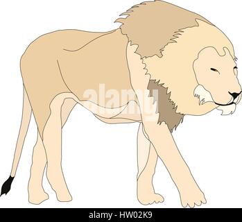 Portrait of a  walking hungry lion in etosha national park Stock Vector