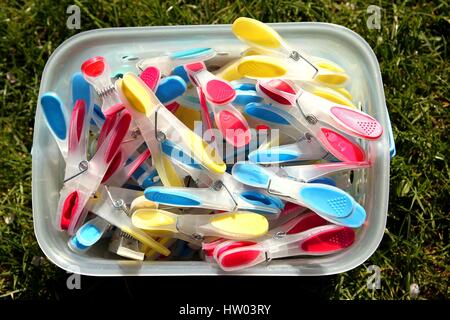Brightly coloured clothes pegs in a bucket on green grass in sunshine Stock Photo