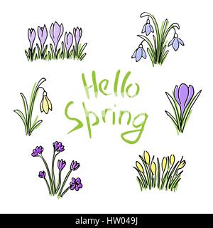 Hello Spring colored sketch set. First flowers and Lettering Stock Vector