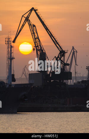Industrial crane on a sunset Stock Photo