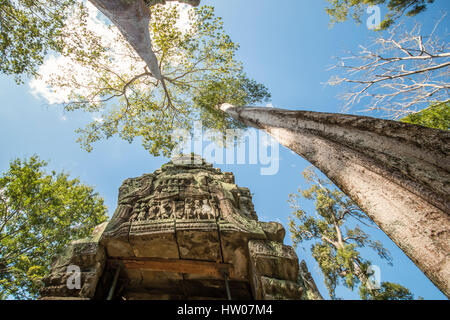 Ruins of ancient Angkor Wat in Cambodia Stock Photo