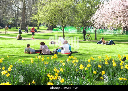 London, UK. 15th March, 2017.  Londoners enjoy a warm spring day in St James Park. Daffodils and Cherry Blossom in bloom. Credit:claire doherty/Alamy Live News Stock Photo