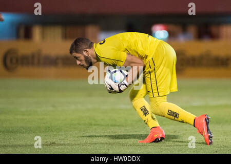 Mesquita, Brazil. 15th Mar, 2017. Goalkeeper Edson for Fluminense vs Criciuma by Brazil Cup held at Stadium Giulite Coutinho in Mesquita, RJ. Credit: Celso Pupo/FotoArena/Alamy Live News Stock Photo