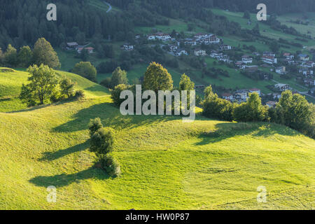 Meadow. Trees, shrubs and hilly green grassland in the evening light. Piburger See, Taxegg, Salzburg, Austria, Europe Stock Photo