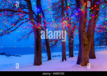 Elm Grove Christmas Lights, English Bay, Vancouver, in winter, British Columbia, Canada. Stock Photo