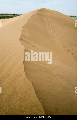 Sand dunes in a desert, Kubuqi Desert, Inner Mongolia, China Stock Photo