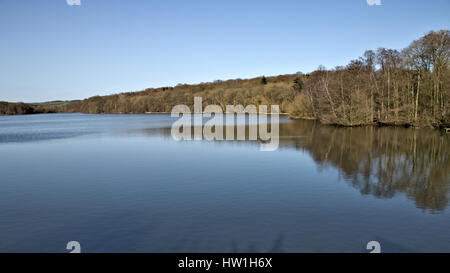 Moorgreen Reservoir - Greasley - Nottingham. Carp Fishing and Camping Stock Photo