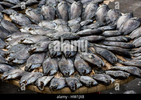 Basket of dry fish in a market in Ho Chi Minh City, Vietnam. Stock Photo