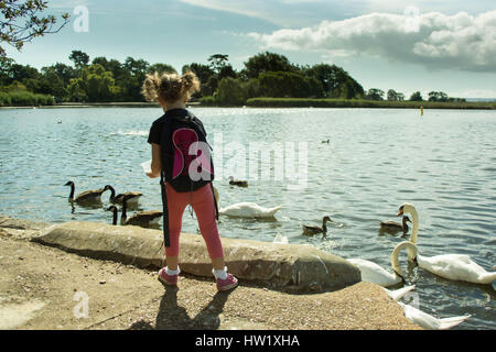 Young girl from behind feeding birds at a park lake. Stock Photo