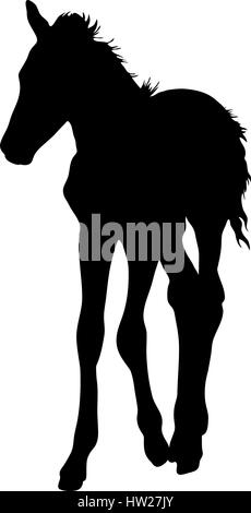 Silhouette of a garub desert wild horse kitten Stock Vector