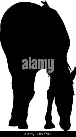 Silhouette of a garub desert wild horse Stock Vector