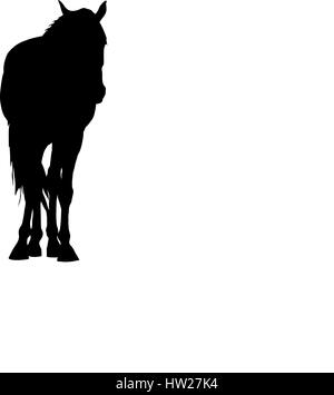 Silhouette of a garub desert wild horse Stock Vector