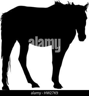 Silhouette of a garub desert wild horse Stock Vector