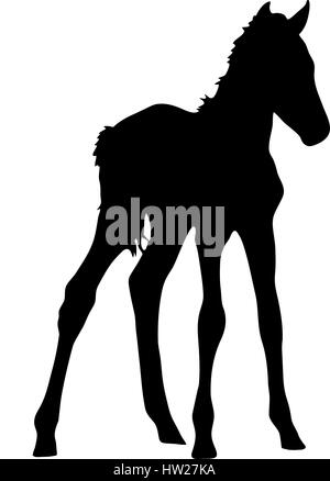 Silhouette of a garub desert wild horse kitten Stock Vector