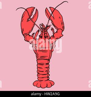American Lobster, Vector illustration for artwork in small sizes. Stock Vector