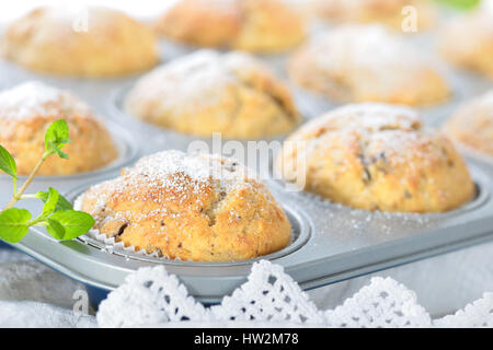 Freshly baked chocolate banana muffins in the baking pan dusted with icing sugar Stock Photo