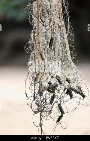 Cast net fishing laos hi-res stock photography and images - Alamy